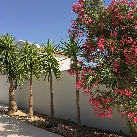 Holiday home Elena Solo Familias Y Parejas Conil De La Frontera